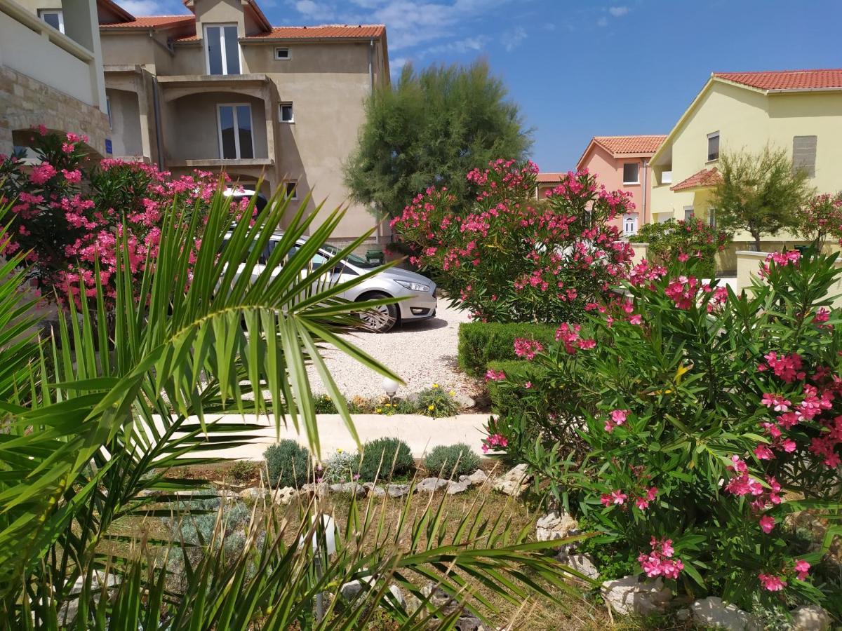 Apartmani Vjeko Vir Εξωτερικό φωτογραφία