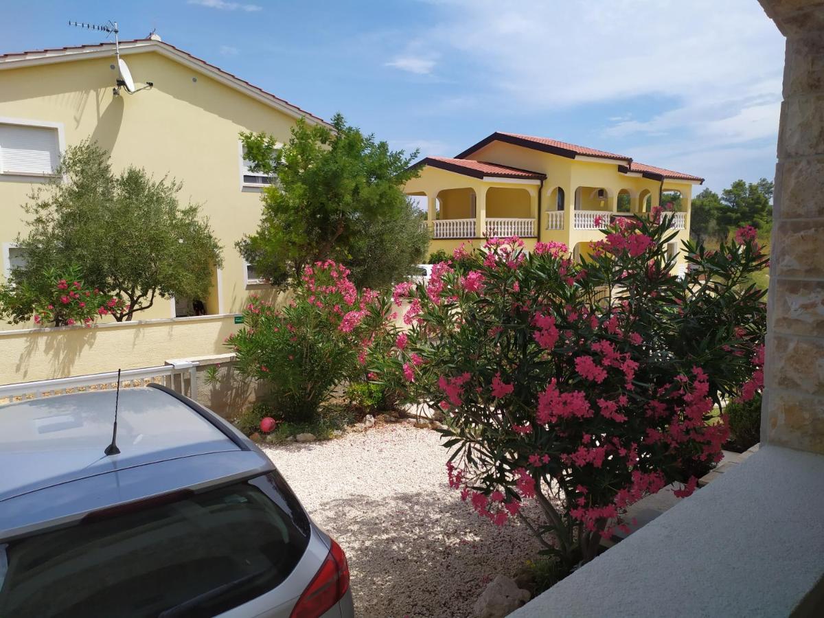 Apartmani Vjeko Vir Εξωτερικό φωτογραφία