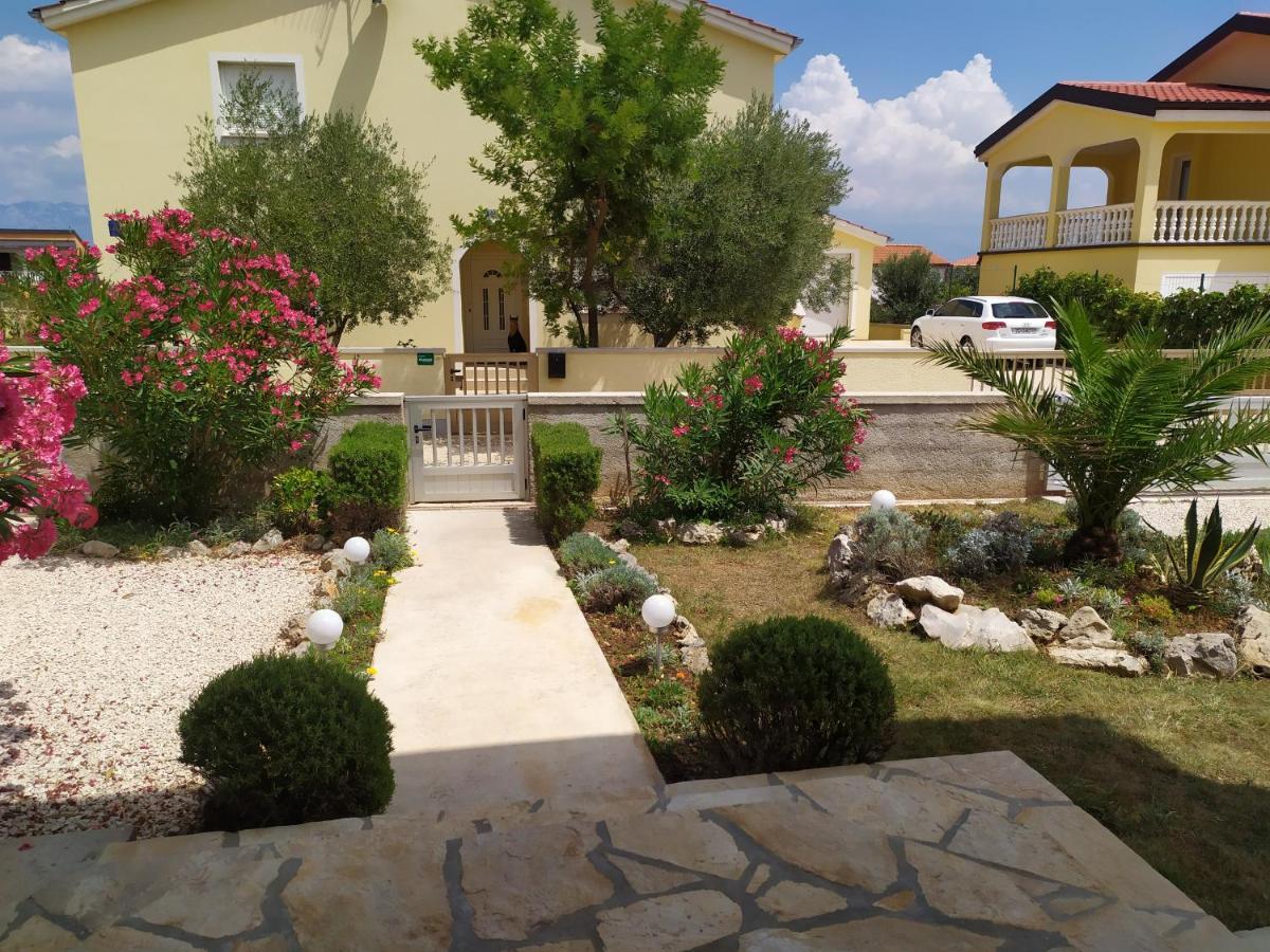 Apartmani Vjeko Vir Εξωτερικό φωτογραφία