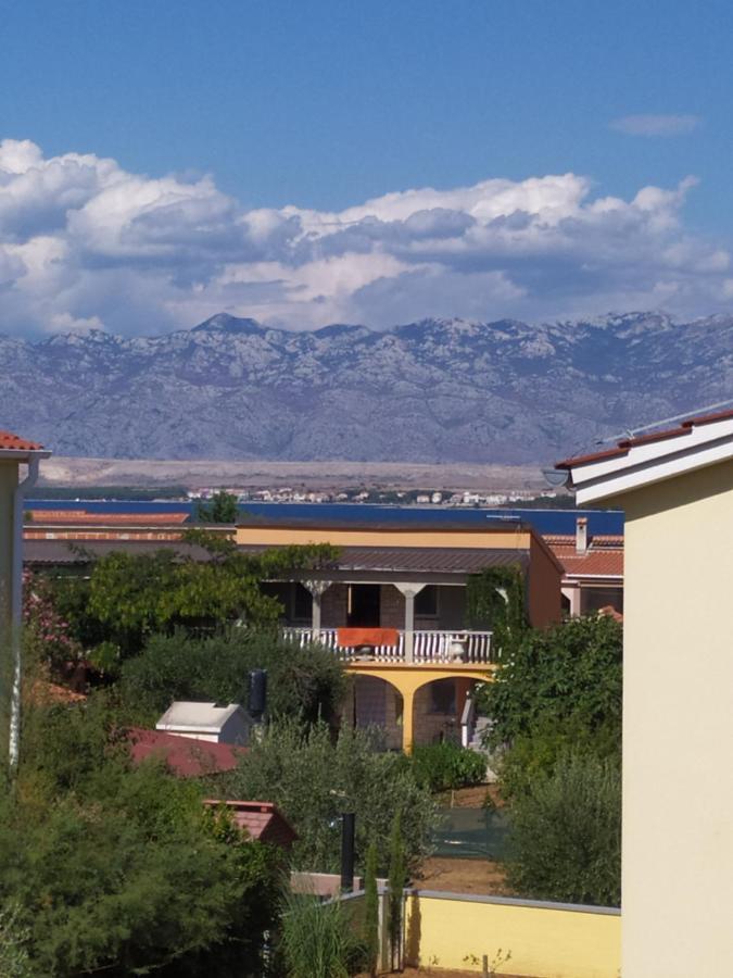 Apartmani Vjeko Vir Εξωτερικό φωτογραφία