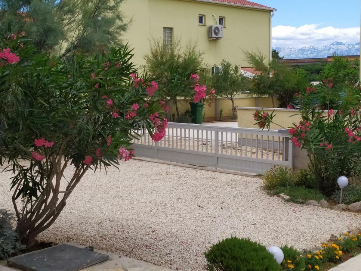 Apartmani Vjeko Vir Εξωτερικό φωτογραφία